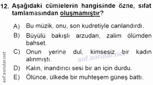 12. soru: Aşağıdaki cümielerin hangisinde özne, sıfat tamlamasından olusmamıştır? A) Bu müzik, onu, son kudretiyle canlandırdı.…