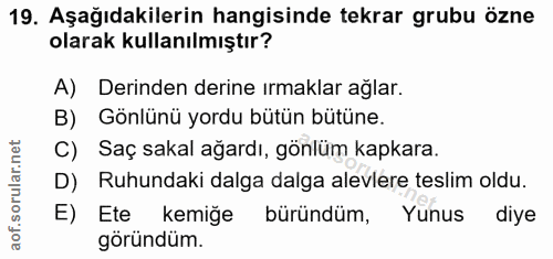 19. soru: Aşağıdakilerin hangisinde tekrar grubu özne olarak kullanılmıştır? A) Derinden derine ırmaklar ağlar. B) Gönlünü yord…