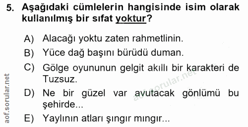 5. soru: Aşağıdaki cümlelerin hangisinde isim olarak kullanılmış bir sıfat yoktur? A) Alacağı yoktu zaten rahmetlinin. B) Yüce…