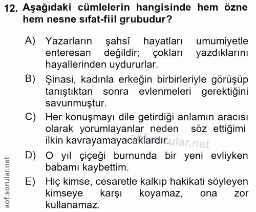 12. soru: Aşağıdaki cümlelerin hangisinde hem özne hem nesne sifat-fili grubudur? A) Yazarların şahsî hayatları umumiyetle ente…