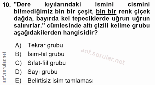 10. soru: "Dere kıyılarındaki ismini cismini bilmediğimiz bin bir çeşit, bin bir renk çiçek dağda, bayırda kel tepeciklerde uğr…