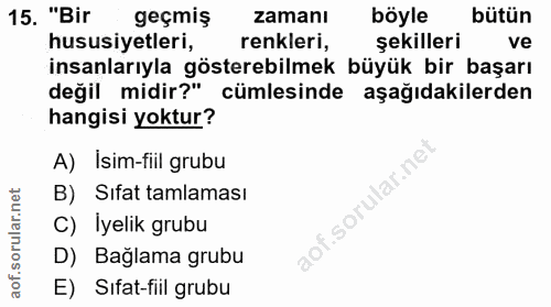 15. soru: "Bir geçmiş zamanı böyle bütün hususiyetleri, renkleri, şekilleri ve insanlarıyla gösterebilmek büyük bir başarı deği…