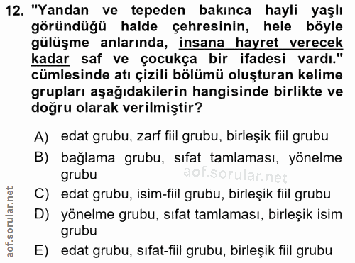 12. soru: "Yandan ve tepeden bakınca hayli yaşlı göründüğü halde çehresinin, hele böyle gülüşme anlarında, insana hayret verece…