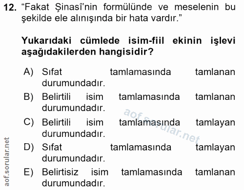12. soru: "Fakat Şinasî'nin formülünde ve meselenin bu şekilde ele alınışında bir hata vardır." Yukarıdaki cümlede isim-fiil ek…