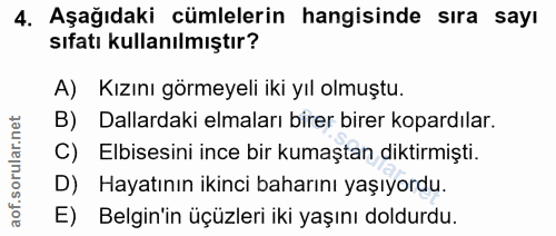 4. soru: Aşağıdaki cümlelerin hangisinde sıra sayı sıfatı kullanılmıştır? A) Kızını görmeyeli iki yıl olmuştu. B) Dallardaki e…