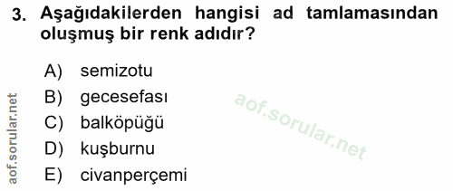 3. soru: Aşağıdakilerden hangisi ad tamlamasından oluşmuş bir renk adıdır? A) semizotu B) gecesefasi C) balköpüğü D) kuşburnu…