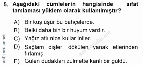 5. soru: Aşağıdaki cümlelerin hangisinde sıfat tamlaması yüklem olarak kullanılmıştır? A) Bir kuş üşür bu bahçelerde. B) Belki…