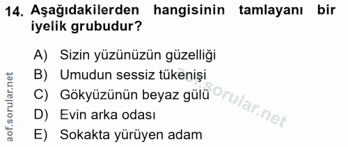 14. soru: Aşağıdakilerden hangisinin tamlayanı bir iyelik grubudur? A) Sizin yüzünüzün güzelliği B) Umudun sessiz tükenişi D) E…