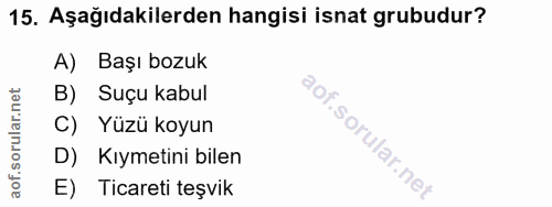 15. soru: Aşağıdakilerden hangisi isnat grubudur? A) Başı bozuk B) Suçu kabul C) Yüzü koyun D) Kıymetini bilen E) Ticareti teşvik