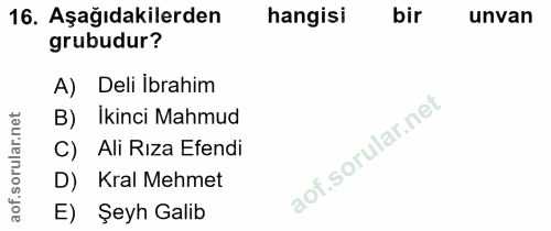 16. soru: Aşağıdakilerden hangisi bir unvan grubudur? A) Deli İbrahim B) İkinci Mahmud C) Ali Riza Efendi D) Kral Mehmet E) Şey…
