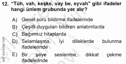 12. soru: "Tüh, vah, keşke, vay be, eyvah" gibi ifadeler hangi ünlem grubunda yer alır? A) Genel soru bildirme ifadelerinde B)…