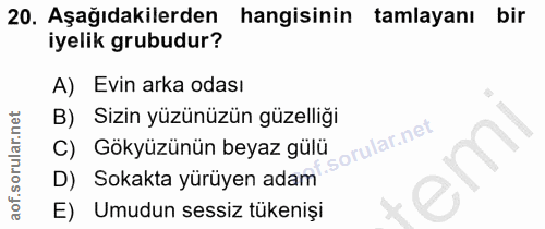 20. soru: Aşağıdakilerden hangisinin tamlayanı bir iyelik grubudur? A) Evin arka odası B) Sizin yüzünüzün güzelliği C) Gökyüzün…