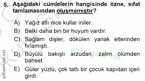5. soru: Aşağıdaki cümlelerin hangisinde özne, sıfat tamlamasından oluşmamıştır? A) Yağız atlı nice kullar iniler. B) Belki da…