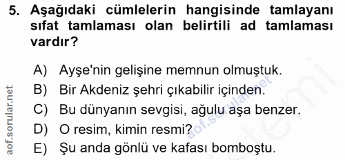 5. soru: Aşağıdaki cümlelerin hangisinde tamlayanı sıfat tamlaması olan belirtili ad tamlaması vardır? A) Ayşe'nin gelişine me…