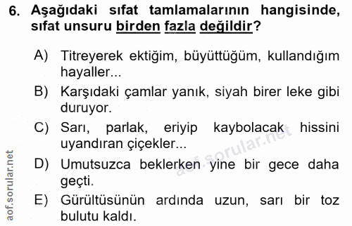 6. soru: Aşağıdaki sıfat tamlamalarının hangisinde, sıfat unsuru birden fazla değildir? A) Titreyerek ektiğim, büyüttüğüm, kul…