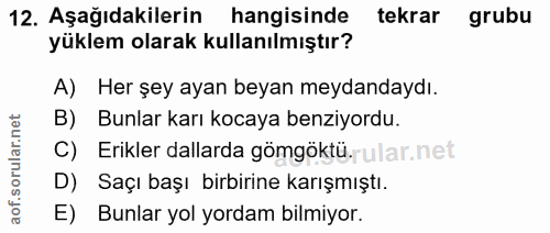12. soru: Aşağıdakilerin hangisinde tekrar grubu yüklem olarak kullanılmıştır? A) Her şey ayan beyan meydandaydı. B) Bunlar kar…