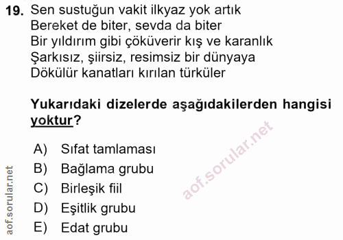 19. soru: Sen sustuğun vakit ilkyaz yok artık Bereket de biter, sevda da biter Bir yıldırım gibi çöküverir kış ve karanlık Şark…