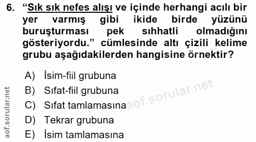 6. soru: "Sık sık nefes alışı ve içinde herhangi acılı bir yer varmış gibi ikide birde yüzünü buruşturması pek sıhhatli olmadı…