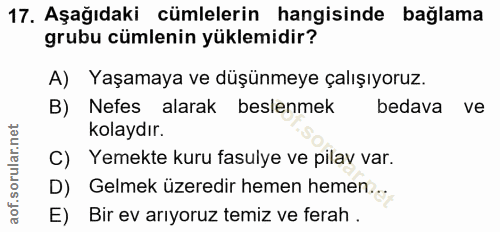 17. soru: Aşağıdaki cümlelerin hangisinde bağlama grubu cümlenin yüklemidir? A) Yaşamaya ve düşünmeye çalışıyoruz. B) Nefes ala…