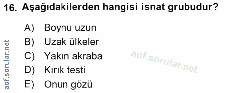 16. soru: Aşağıdakilerden hangisi isnat grubudur? A) Boynu uzun B) Uzak ülkeler C) Yakın akraba D) Kırık testi E) Onun gözü