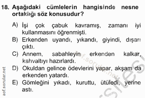 18. soru: Aşağıdaki cümlelerin hangisinde nesne ortaklığı söz konusudur? A) İşi çok çabuk kavramış, zamanı iyi kullanmasını öğr…