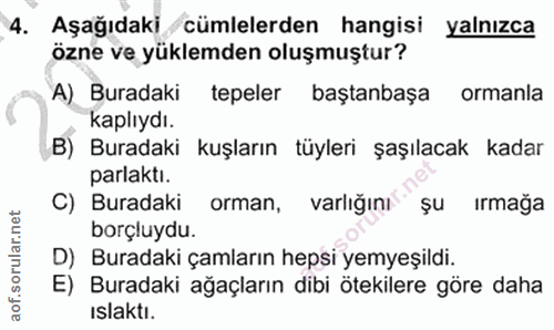 4. soru: Aşağıdaki cümlelerden hangisi yalnızca özne ve yüklemden oluşmuştur? A) Buradaki tepeler baştanbaşa ormanla kaplıydı.…