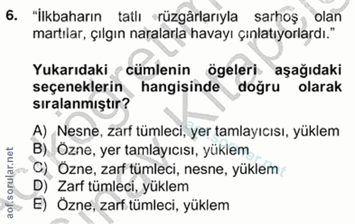 6. soru: "İlkbaharın tatlı rüzgârlarıyla sarhoş olan martılar, çılgın aralarla havayı çınlatıyorlardı." Yukarıdaki ‹ cümlenin…
