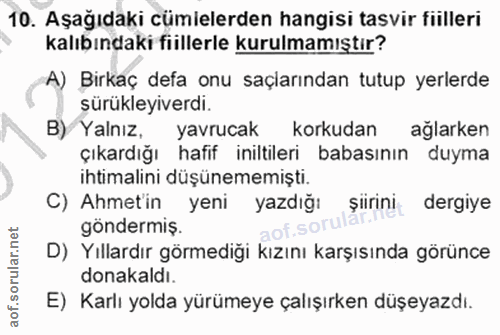 10. soru: Aşağıdaki cümlelerden hangisi tasvir fiilleri kalıbındaki fiillerle kurulmamıştır? A) Birkaç defa onu saçlarından tut…