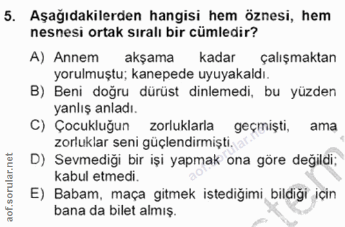 5. soru: Aşağıdakilerden hangisi hem öznesi, hem nesnesi ortak sıralı bir cümledir? A) Annem akşama kadar çalışmaktan yorulmuş…