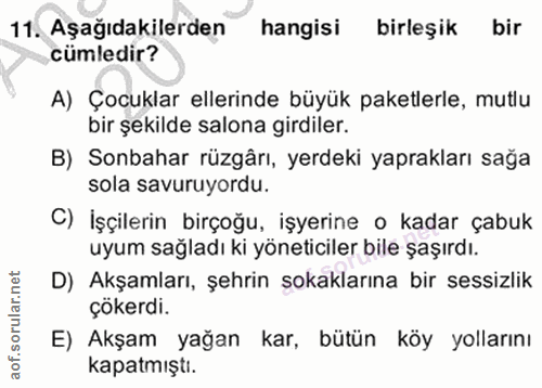 11. soru: Aşağıdakilerden hangisi birleşik bir cümledir? A) Çocuklar ellerinde büyük paketlerle, mutlu bir şekilde salona girdi…