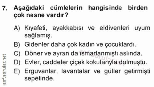 7. soru: Aşağıdaki cümlelerin hangisinde birden çok nesne vardır? A) Kıyafeti, ayakkabısı ve eldivenleri uyum sağlamış. B) Gid…