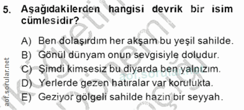 5. soru: Aşağıdakilerden hangisi devrik bir isim cümlesidir? A) Ben dolaşırdım her akşam bu yeşil sahilde. B) Gönül dünyam onu…
