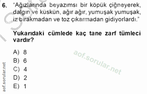 6. soru: "Ağızlarında beyazımsı bir köpük çiğneyerek, dalgın ve küskün, ağır ağır, yumuşak yumuşak, iz bırakmadan ve toz çıkar…