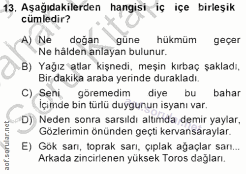 13. soru: Aşağıdakilerden hangisi iç içe birleşik cümledir? A) Ne doğan güne hükmüm geçer Ne hålden anlayan bulunur. B) Yağız a…