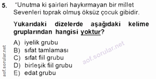 5. soru: "Unutma ki şairleri haykırmayan bir millet Sevenleri toprak olmuş öksüz çocuk gibidir. Yukarıdaki dizelerde aşağıdaki…
