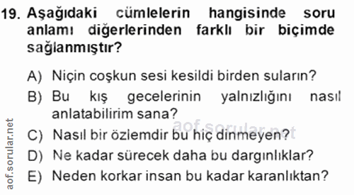 19. soru: Aşağıdaki cümlelerin hangisinde soru anlamı diğerlerinden farklı bir biçimde sağlanmıştır? A) Niçin coşkun sesi kesil…