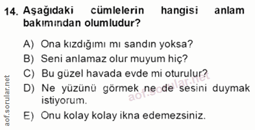 14. soru: Aşağıdaki cümlelerin hangisi anlam bakımından olumludur? A) Ona kızdığımı mı sandın yoksa? B) Seni anlamaz olur muyum…