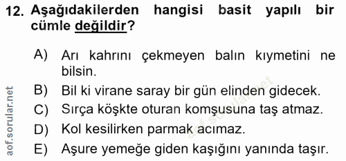12. soru: Aşağıdakilerden hangisi basit yapılı bir cümle değildir? A) Arı kahrını çekmeyen balın kıymetini ne bilsin. B) Bil ki…