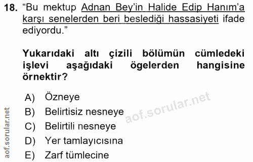 18. soru: "Bu mektup Adnan Bey'in Halide Edip Hanım'a karşı senelerden beri beslediği hassasiyeti ifade ediyordu." Yukarıdaki a…