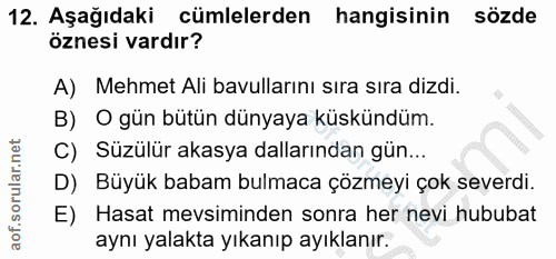 12. soru: Aşağıdaki cümlelerden hangisinin sözde öznesi vardır? A) Mehmet Ali bavullarını sıra sıra dizdi. B) O gün bütün dünya…