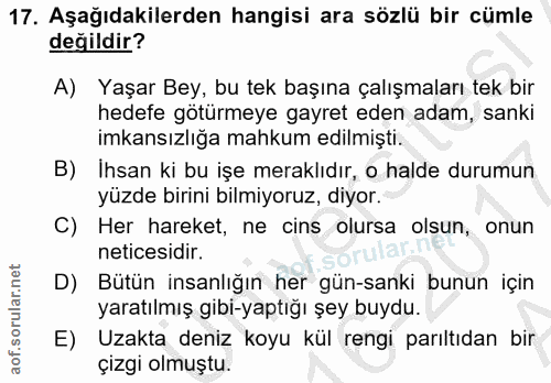 17. soru: Aşağıdakilerden hangisi ara sözlü bir cümle değildir? A) Yaşar Bey, bu tek başına çalışmaları tek bir hedefe götürmey…