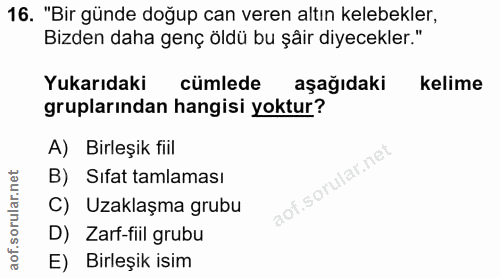 16. soru: "Bir günde doğup can veren altın kelebekler, Bizden daha genç öldü bu şâir diyecekler." Yukarıdaki cümlede aşağıdaki…