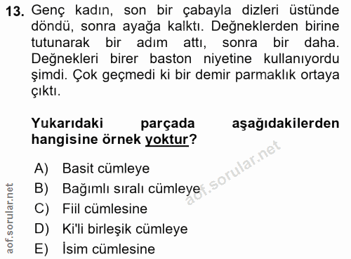 13. soru: Genç kadın, son bir çabayla dizleri üstünde döndü, sonra ayağa kalktı. Değneklerden birine tutunarak bir adım attı, s…