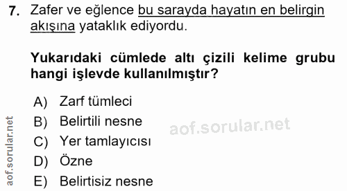 7. soru: Zafer ve eğlence bu sarayda hayatın en belirgin akışına yataklık ediyordu. Yukarıdaki cümlede altı çizili kelime grub…
