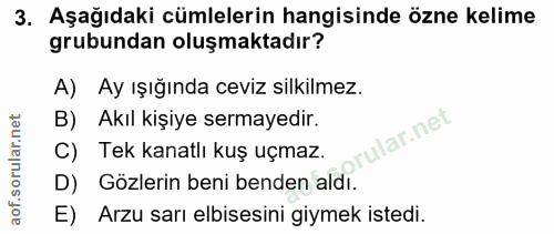 3. soru: Aşağıdaki cümlelerin hangisinde özne kelime grubundan oluşmaktadır? A) Ay ışığında ceviz silkilmez. B) Akıl kişiye se…