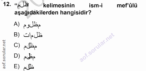 12. soru: "pll kelimesinin ism-i mef'ûlü aşağıdakilerden hangisidir? Al pelbs B) ülub C) pilla م ظيم (D E) alb