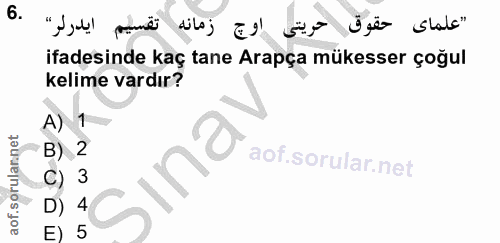 6. soru: Üsër slols" ifadesinde kaç tane Arapça mükesser çoğul kelime vardır? A) 1 B) 2 Sına C) 3 D) 4 E) 5