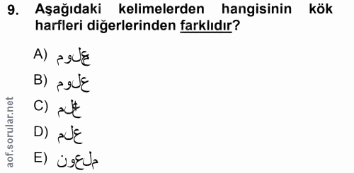 9. soru: Aşağıdaki kelimelerden hangisinin kök harfleri diğerlerinden farklıdır? A) pelE B) peLE C) pL$ D) pUE ملعون (E