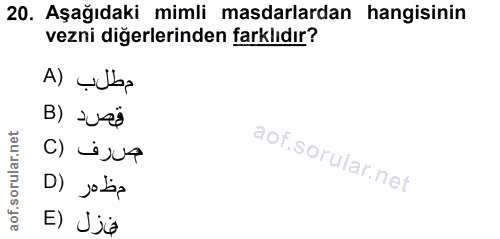 20. soru: Aşağıdaki mimli masdarlardan hangisinin vezni diğerlerinden farklıdır? A) Vulb, B) ve$ صرف (C D) jabą E) Sjia