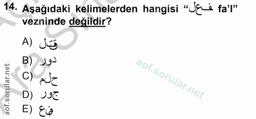 14. soru: Aşağıdaki kelimelerden hangisi "Jg i fa'l" vezninde değildir? A) Jü B) 29- c) adE D) JSZ فى ع (E